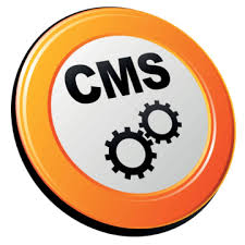 CMS Web Development